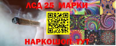 spice Коммунар