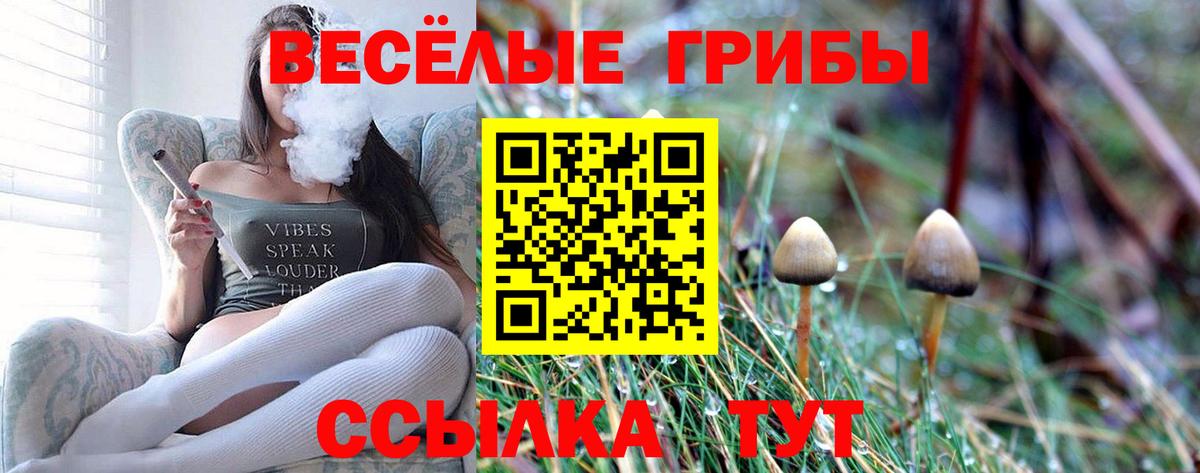 Чита  Галлюциногенные грибы GOLDEN TEACHER  Вход с VPN 