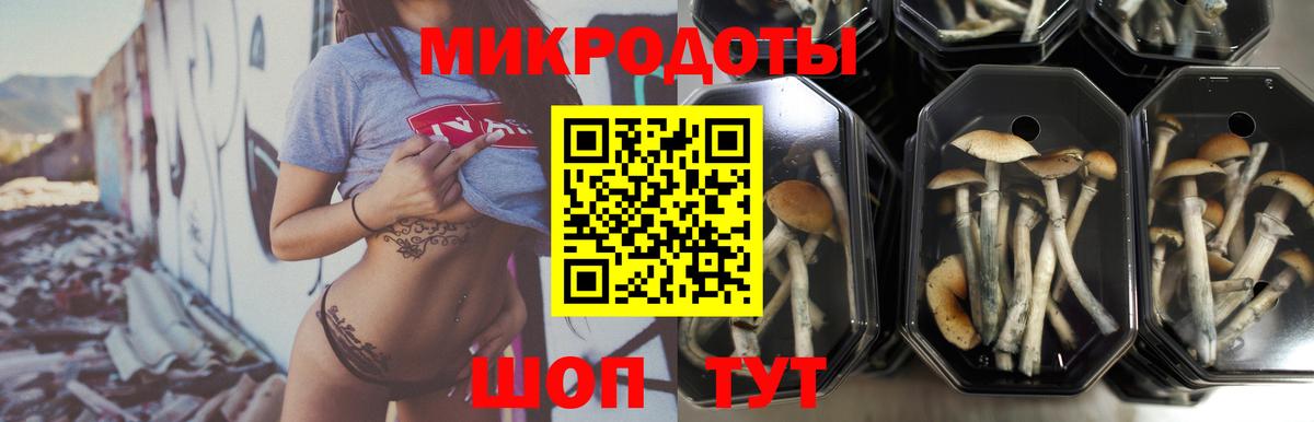 Псилоцибиновые грибы Cubensis Чита